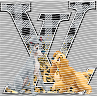 Brand Catalog-ZX 1408